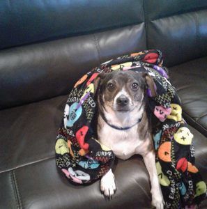 Meet your Posher, Hannah